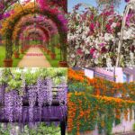 600408086_122109228945102280_646198533411115985_n