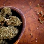 Colorado Breeders Depot