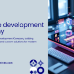 Software development company