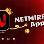 NetMirror APK