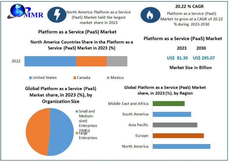 Platform-as-a-Service-PaaS-Marke