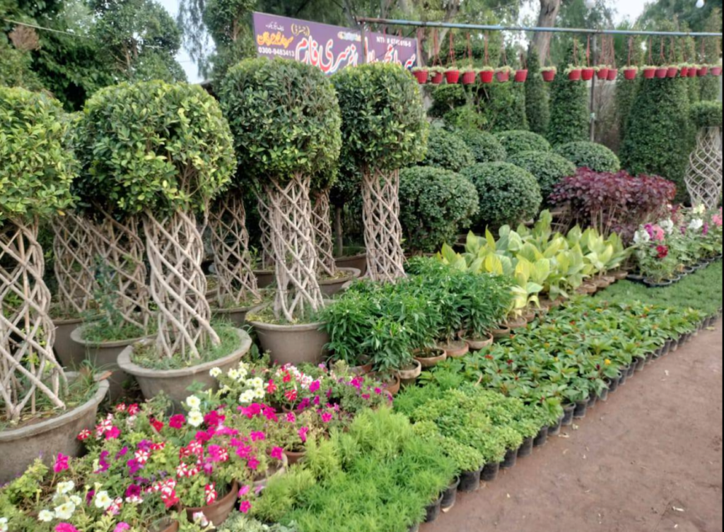 Screenshot 2026-02-21 032322