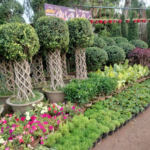 Screenshot 2026-02-21 032322