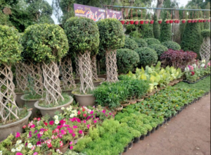 Screenshot 2026-02-21 032322