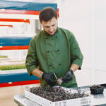 Nutraceutical Manufacturer in Ahmedabad