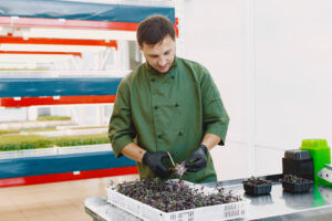 Nutraceutical Manufacturer in Ahmedabad