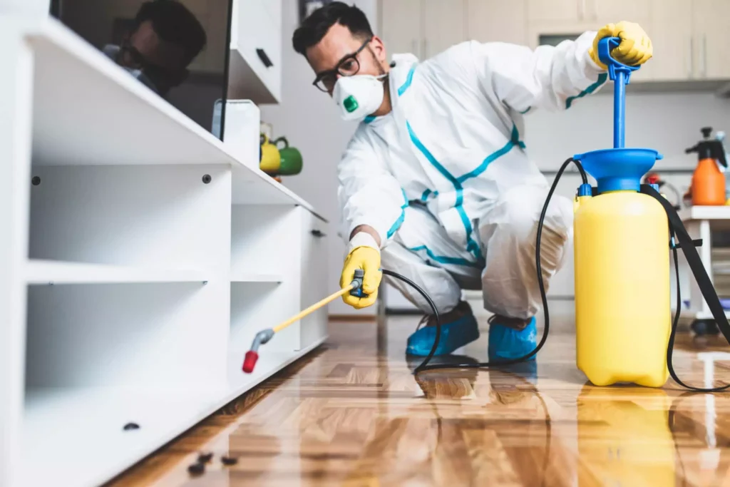 Pest Control Services