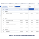 financial consolidation software