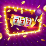 Affordable Mouse Exterminator Near You for Long-Term Protection