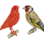 Bird Embroidery Design