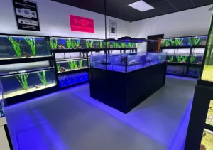 Saltwater fish store near me
