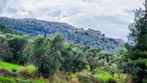 apartments for sale in Rhodes