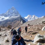 Contract Lifecycle Management Market Size, Share & Growth Analysis Report 2032