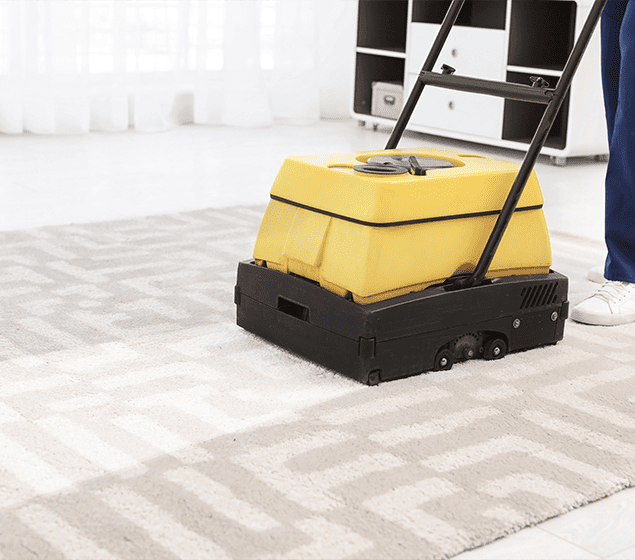carpet cleaning services brisbane