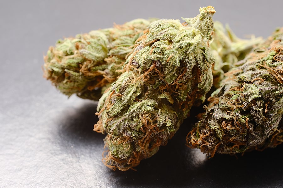 Explore Top Cannabis Strains and Their Unique Benefits