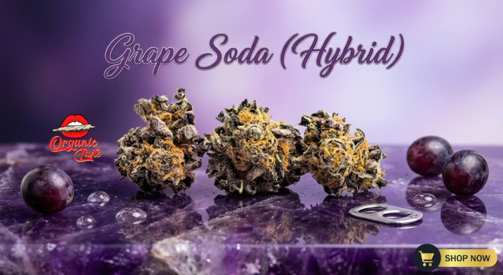 Grape Soda (Hybrid) (9)