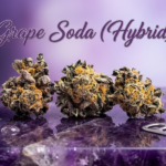 Grape Soda (Hybrid) (9)