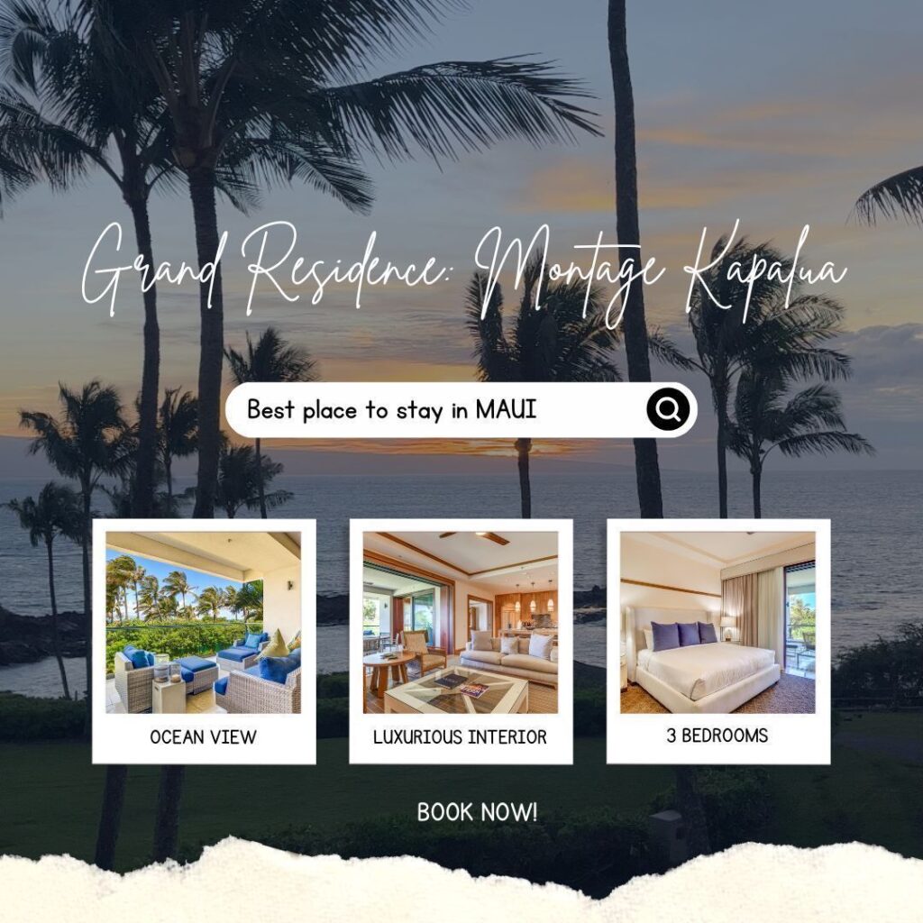 ded0bce95506e04082207924c47514d4