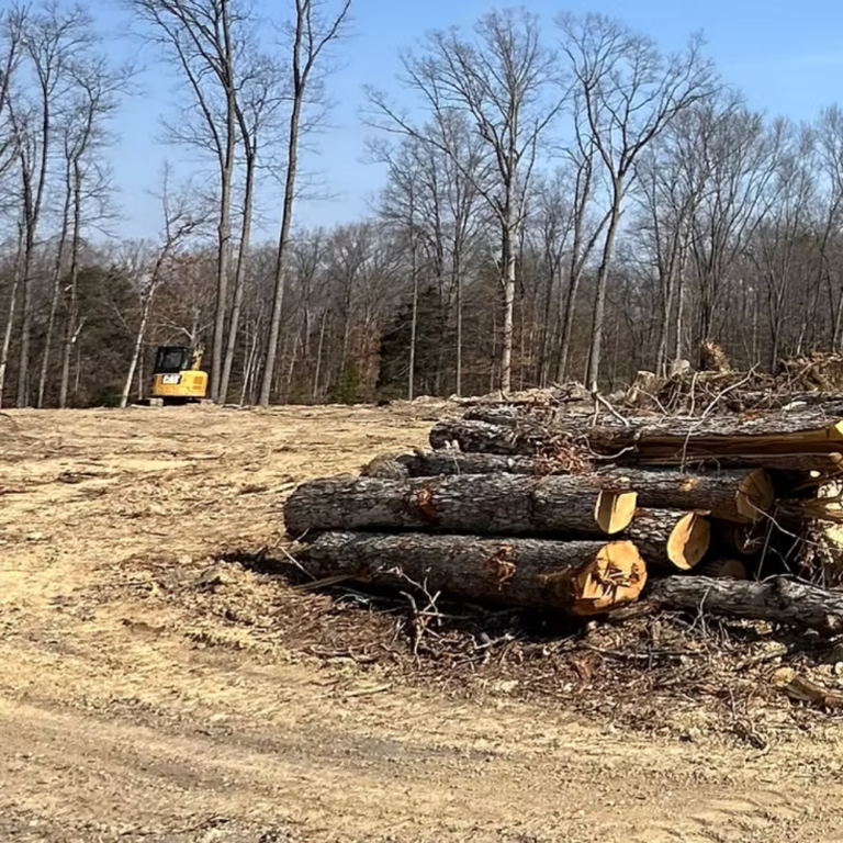 land clearing in virginia