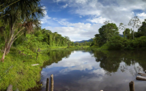 peru amazon rainforest tours