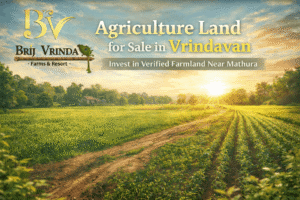 Agriculture land for sale in vrindavan