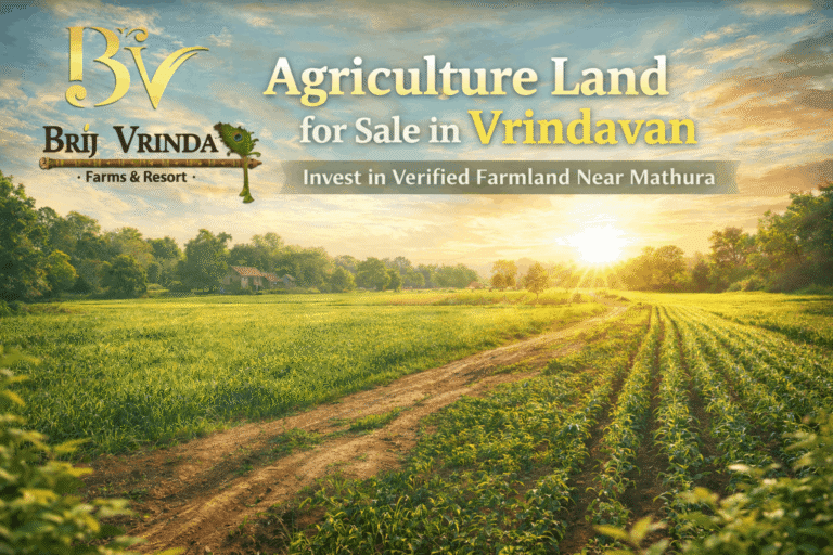 Agriculture land for sale in vrindavan