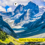 kashmir travel package