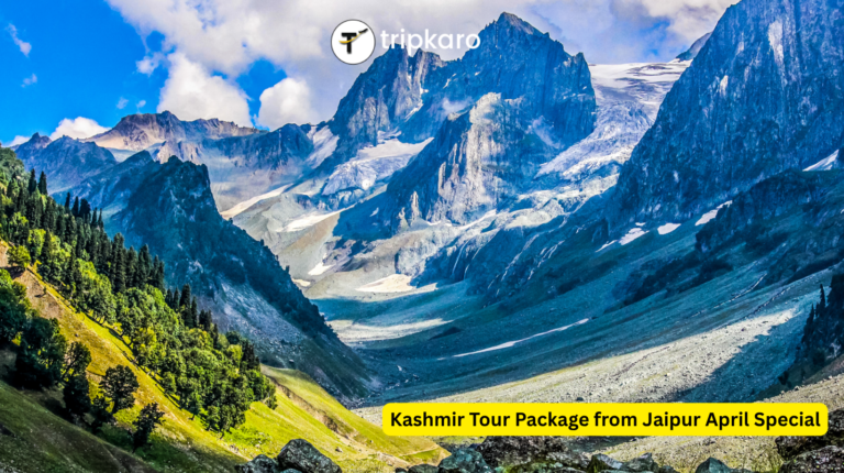 kashmir travel package