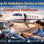 Air Ambulance Service in India