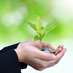 environmental charities
