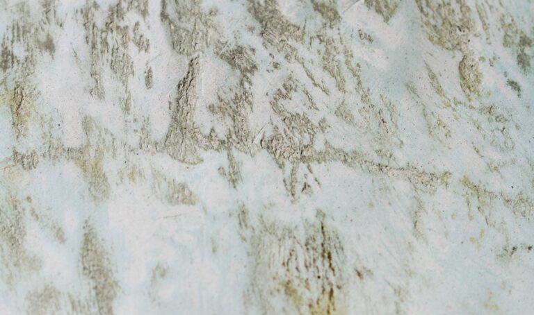 Marble Wall Boards: Benefits, Styles & Installation Guide