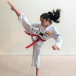 Martial arts Earlwood