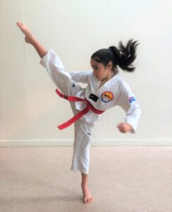 Martial arts Earlwood