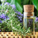 Rosemary Oil and Tea Tree Oil