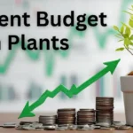 Plant Nutrient Budgeting: Key Strategies for Optimal Growth
