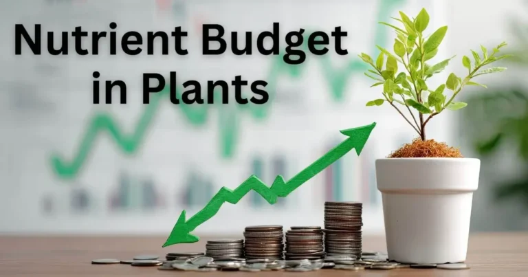 Plant Nutrient Budgeting: Key Strategies for Optimal Growth