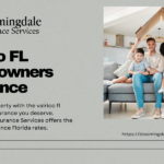 valrico fl homeowners insurance