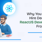 Why You Should Hire Dedicated ReactJS Developers From India
