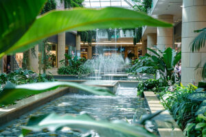 cinematic-style-mall