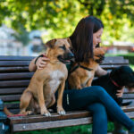 Dog Sutters New Orleans