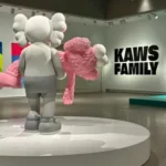 kaws shirt
