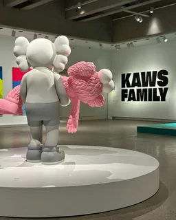 kaws shirt