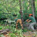 istockphoto-181080811-612x612 (1)