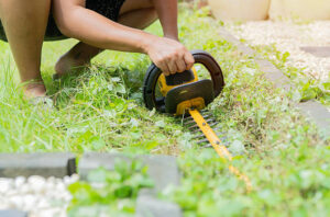 Hedge Trimming