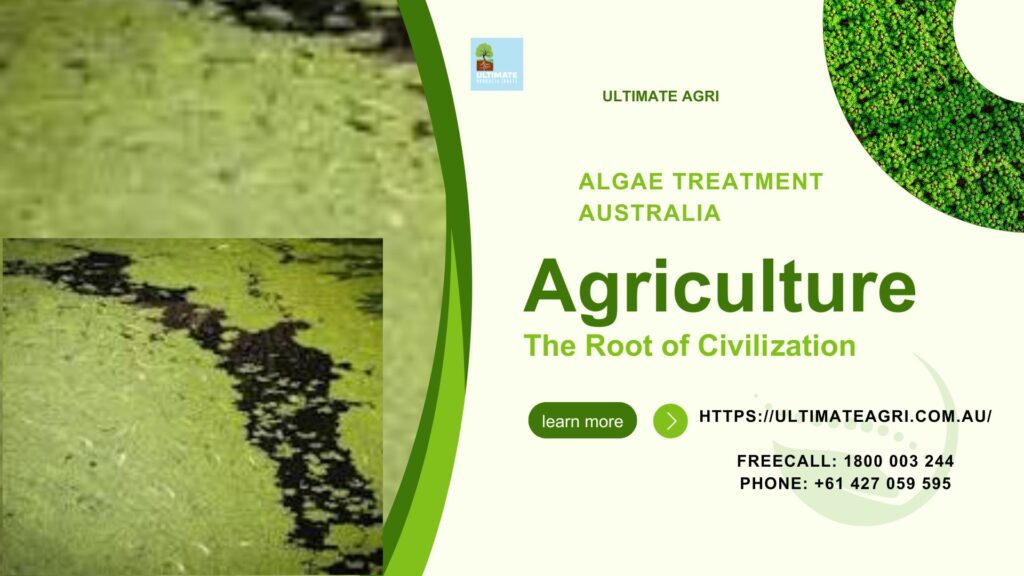 Algae treatment Australia