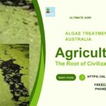 Algae treatment Australia