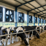 Powerful High-Power Dairy Farm Fans Dairy ventilation fans Farm cooling fans Dairy airflow system