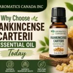 Frankincense Carterii Essential Oil