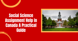 Social Science assignment help