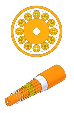 100G trunk cable